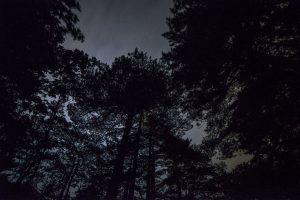 Huangshan at night.