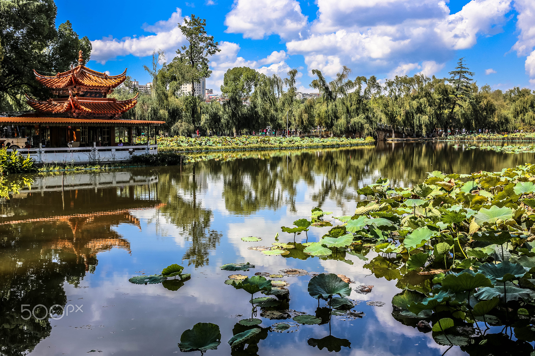 Beautiful green lake, a must visit place while in Kunming.