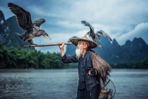 Cormorant fisherman in Traditional showing of his birds on Li river near Xingping, Guangxi province, China. @ chanwit yanshet.